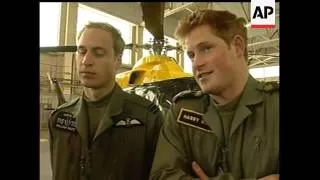 Britain's Prince William and Prince Harry talked about their potential future roles in the Royal Air