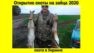 Открытие охоты на зайца 2020/2021