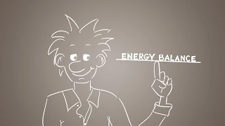 Energy balance explained - get the balance right!