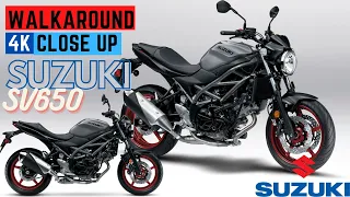 2023 Suzuki SV650 ABS (Grey) - Pure V-Twin Fun