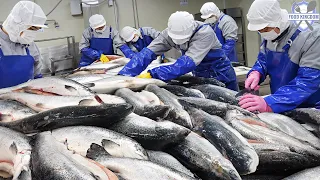 Large quantity of salmon processing plant / Korean food manufacturer