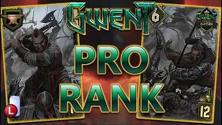 MY LAST DECK, SO I WENT PRO | GWENT PRO RANK SCOIA'TAEL DECK GUIDE