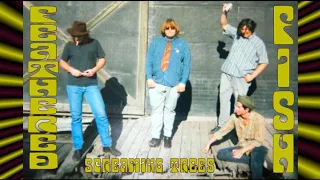 Screaming Trees-Feathered Fish (1987 Arthur Lee cover)