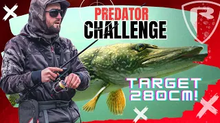 Predator Challenge 2 | UNFINISHED BUSINESS! | 280cm of pike in one session | Pike on lures