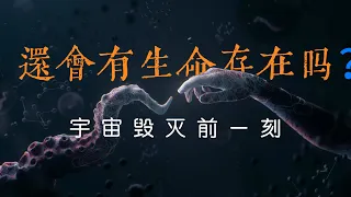 窺視時間的盡頭：宇宙毀滅前一刻，還會有生命存在嗎？