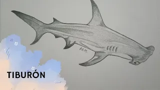 Cómo dibujar un tiburón martillo #drawing #draw #shark #youtube #creative #video #animals #ocean