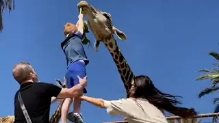 Hilarious Giraffe LIFTS Boy Off Ground 😲 😅 | FUNNIEST Pets Of The Month