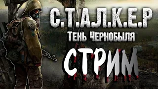 СТАЛКЕР: ТЕНЬ ЧЕРНОБЫЛЯ ► СТРИМ #2