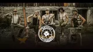 Steve'n'Seagulls  - "Thunderstruck"  -  ( Studio Version)