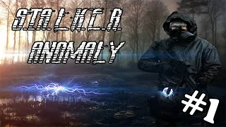 Атмосферный Ад [S.T.A.L.K.E.R. Anomaly]