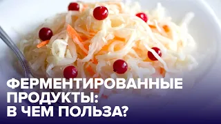 Что такое ФЕРМЕНТИРОВАННЫЕ ПРОДУКТЫ и зачем они нужны