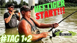 SPINNFISCHEN auf WELS bei HOCHWASSER I Was für ein TOUR-START !