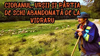 Stâna din munți păzită de 16 câini împotriva urșilor. Ce s-a ales din pârtia de schi de la Vidraru?