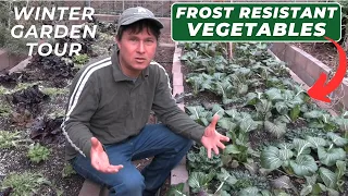 Frost Resistant Winter Vegetables You Can Grow Zone 9 Garden Tour