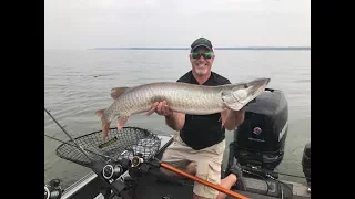 Giant Lake St. Clair Muskies - Trophy Fish Hunter