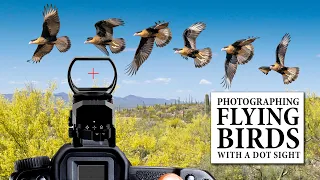 Photographing Flying Birds with a Dot Sight