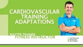 Cardiovascular Training Adaptations