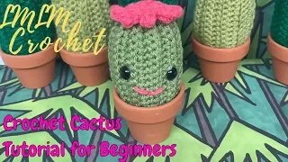 How to Crochet a Cactus for Beginners