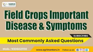 Field Crop Important Disease & Symptoms | Plant Pathology | Field Crop Disease