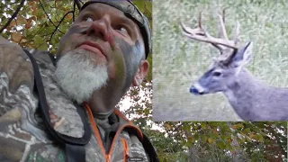 Early Season Archery Hunt - Deer Hunting Food Plots