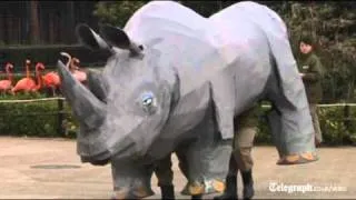 Police scrambled to deal with escaped papier mâché rhino a