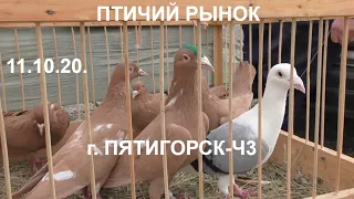 Poultry market in Pyatigorsk - h3