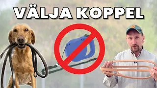 Flexikoppel, Retrieverkoppel, nylon eller läder? Hundkoppel!