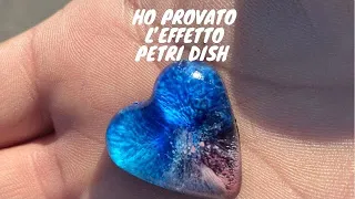 Tutorial Petri Dish tecnica resin - Epodex Pro