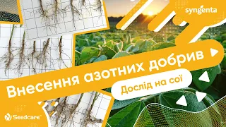 Внесення азотних добрив: соя