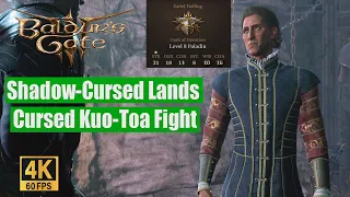 Baldur's Gate 3 Walkthrough Shadow Cursed Lands Cursed Kuo Toa Fight