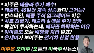 [오늘의 미국주식뉴스] 테슬라 45일간 계속 상승한다! 근거는? / 아마존 오늘 배당 지급 발표? / 차트 전문가의 테슬라 주가 전망 & 애플 주가 전망 / 메타만 하락하는 이유