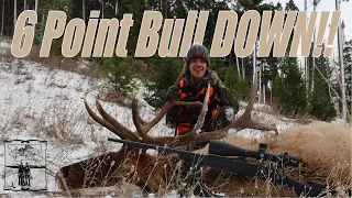 6 POINT BULL DOWN! | Montana Rifle Elk Hunt Ep. 2
