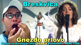 Breskvica - Gnezdo orlovo - Pesma za Evroviziju 2024 Polufinale 1 REACTION