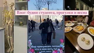 влог: показываю учебу и весенние прогулочки ;)