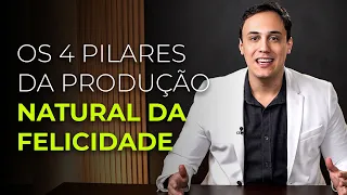 Os 4 Pilares da Produção Natural de Felicidade