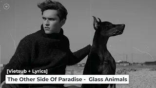 [Vietsub + Lyrics] The Other Side Of Paradise - Glass Animals