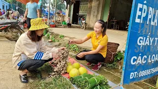 Harvesting Forest Snails & Grapefruit, Green Vegetables goes to the market to sell | Ly Thi Tam