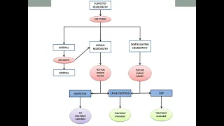 FPN Webinar: Idiopathic Neuropathy with Norman Latov, MD, PhD