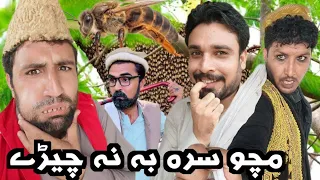 Macho Sara Ba Na Chere || Funny Video By Sada Gul Vines 2023 #sadagulvines #trending