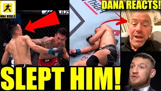 MMA Community reacts to Max Holloway's ONE PUNCH KNOCKOUT of Korean Zombie,UFC Singapore,Dana White