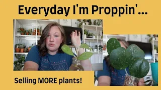 Everyday I'm Proppin' | Propagating Houseplants In Sphagnum Moss