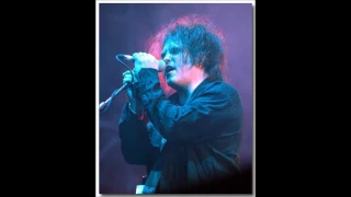 The cure - Vieilles charrues 2002