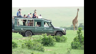 KENYA KEENERS 2018!  Masai Mara Safari....