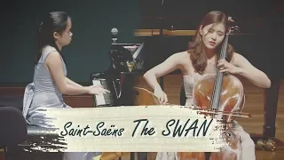 Saint-Saëns - The Swan 🦢