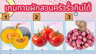 เกมทายผักสวนครัวรั้วกินได้ เรียนรู้จากเกม เกมสำหรับเด็ก ฝึกเชาว์ปัญญา เสริมไอคิว