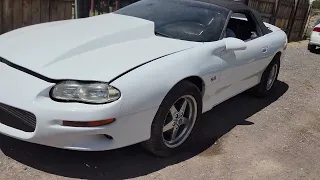 Classic muscle cars in New Mexico 2001 Z28 SS CAMARO turbo.