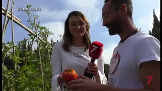 Rota de Cerca 1ª parte || Alma de Tomate