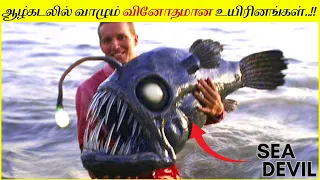 இதை பார்த்தால் நிச்சயம் அதிர்ச்சி அடைவீர்கள் │8 Fish You Won’t Believe Actually Exist │Deep sea