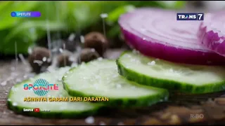 ASINNYA GARAM DARI DARATAN - SPOTLITE