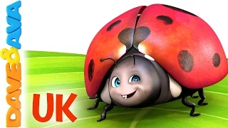 😊 Five Little Ladybirds| the UK Version | Popular Kids Songs from Dave and Ava 😊